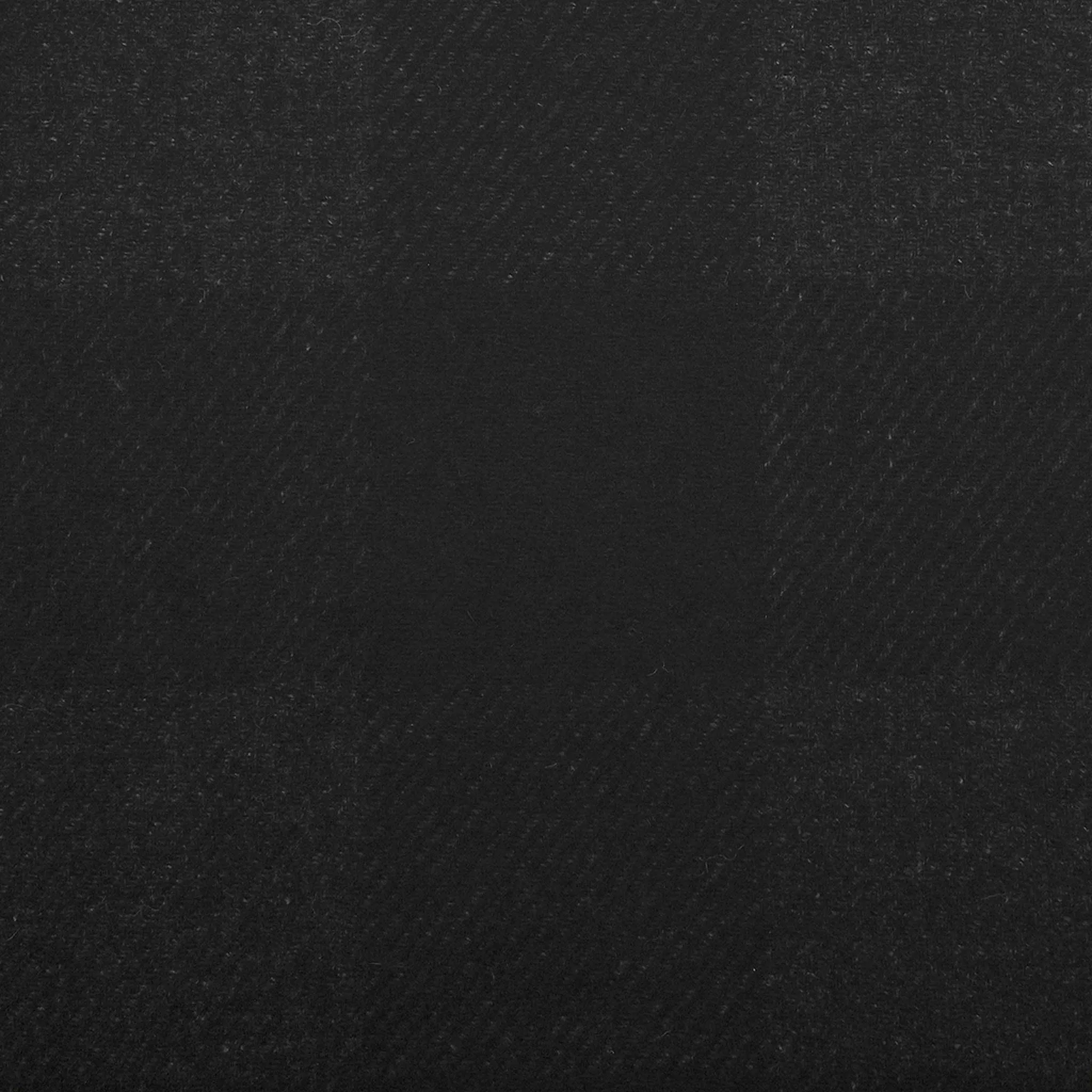 Black Fancy Coating Fabric 98724