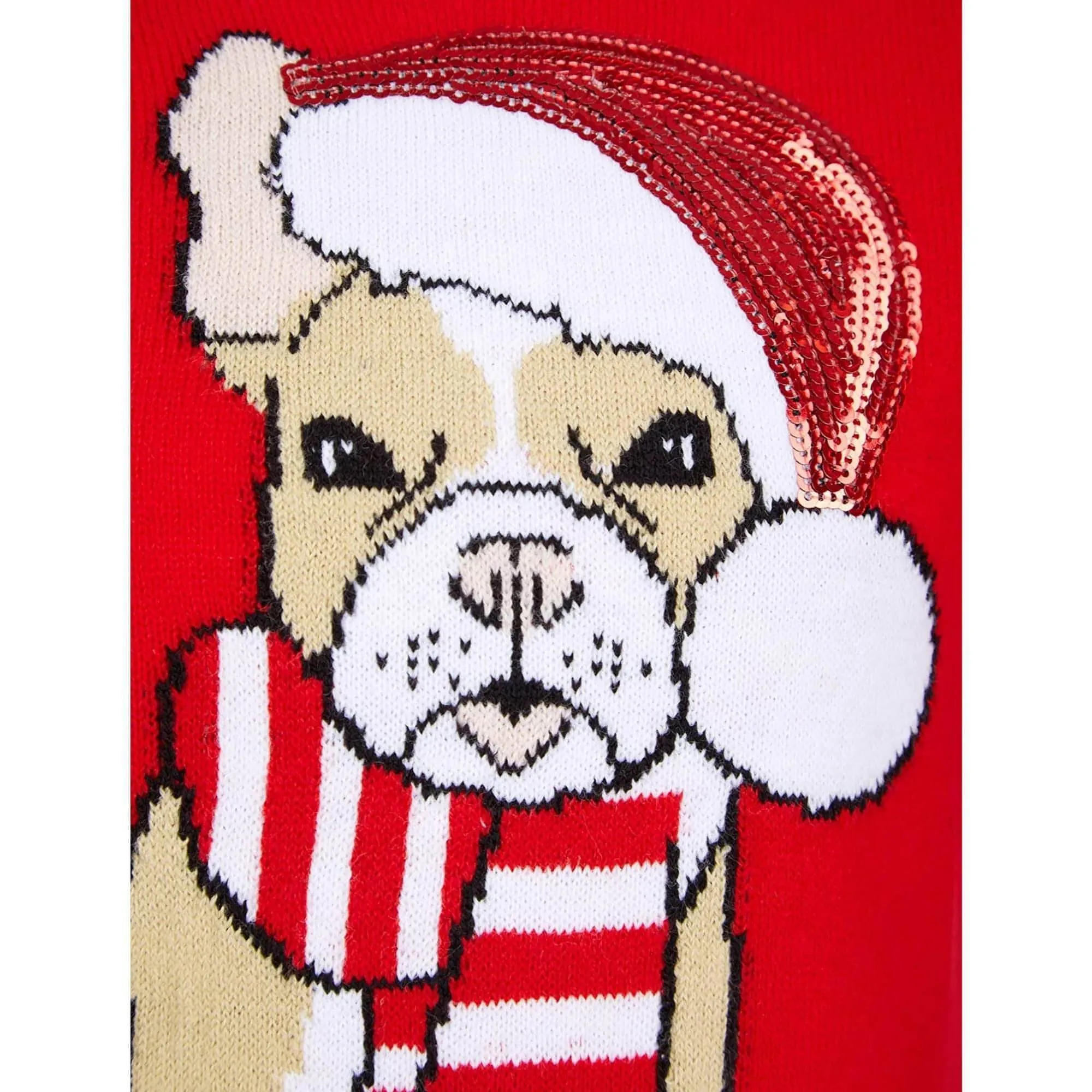 Christmas Santa Dog Junior Christmas Jumper - Red