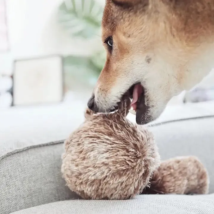 LAMBWOLF COLLECTIVE - SQUIRREL POP DOG TOY