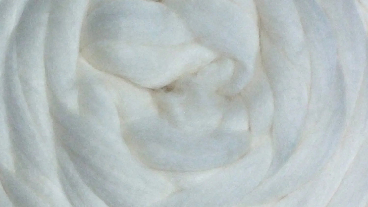 SALE Shep's Merino Wool top Roving 19 microns, Milk White Ultra SOFT , Spinner's Delight! Spin, Felt, Knit, Weave!!