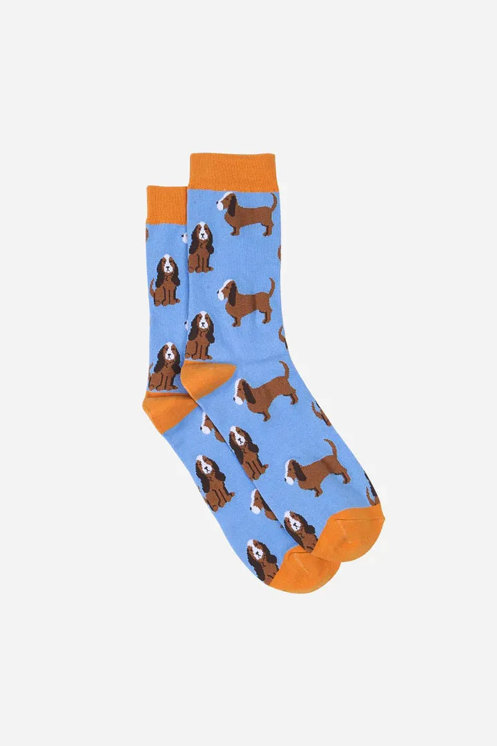 Socks - Beagle