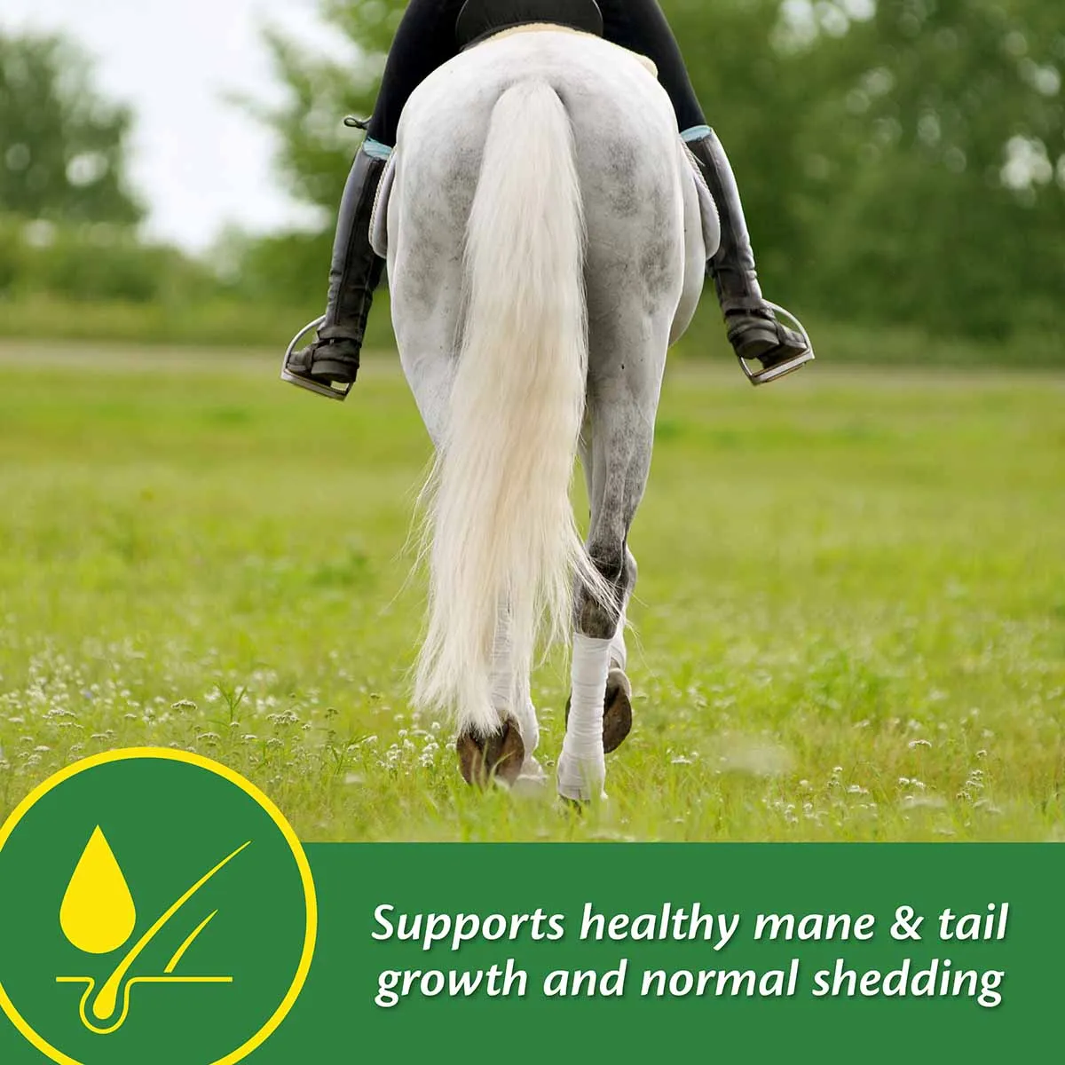 Super 14 Horse Coat Supplement