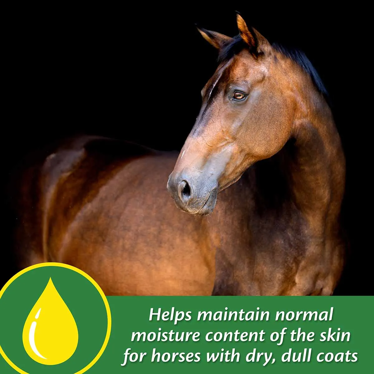 Super 14 Horse Coat Supplement