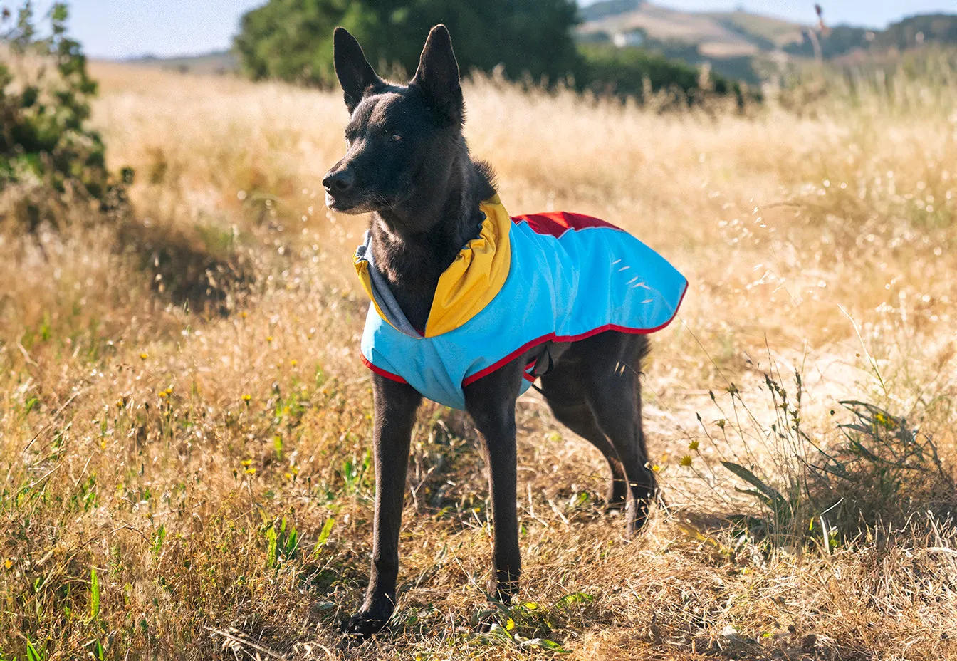 Trailblazing Coat