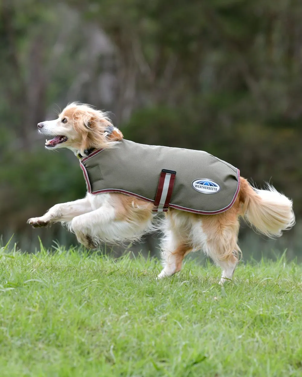 WeatherBeeta ComFiTec Premier Free Parka Dog Coat