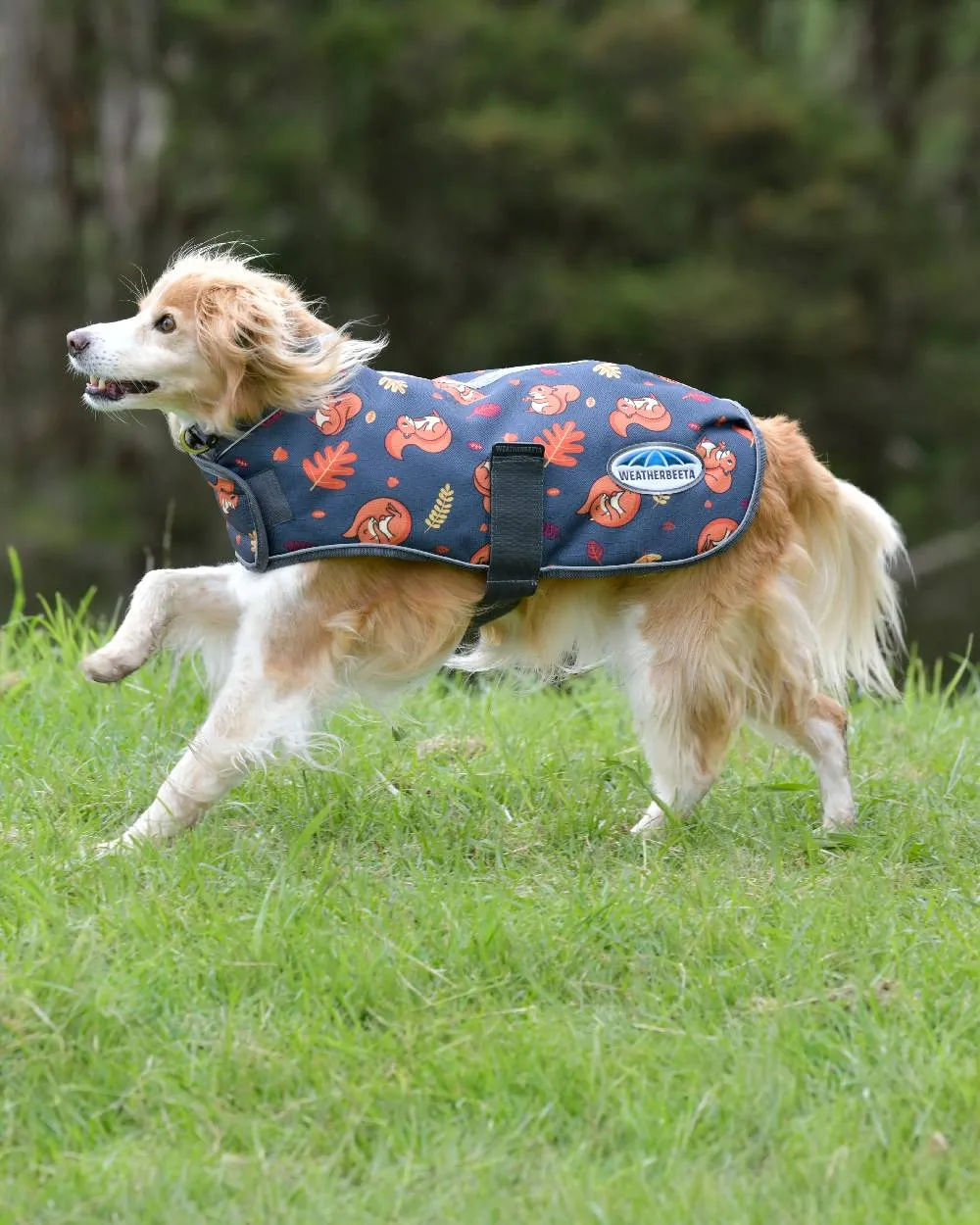 WeatherBeeta ComFiTec Premier Free Parka Dog Coat